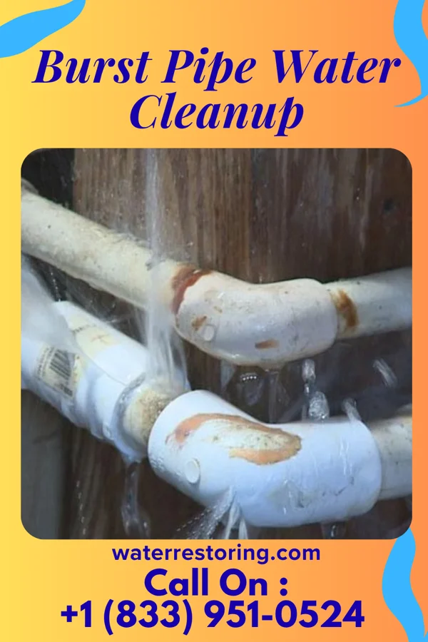 Burst Pipe Water Cleanup in LaBarque Creek, MO