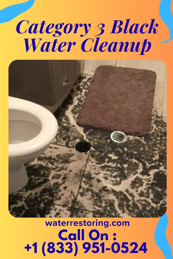 Category 3 Black Water Cleanup in LaBarque Creek, MO