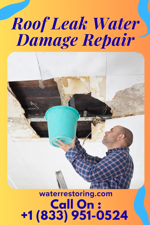 Roof Leak Water Damage Repair in LaBarque Creek, MO