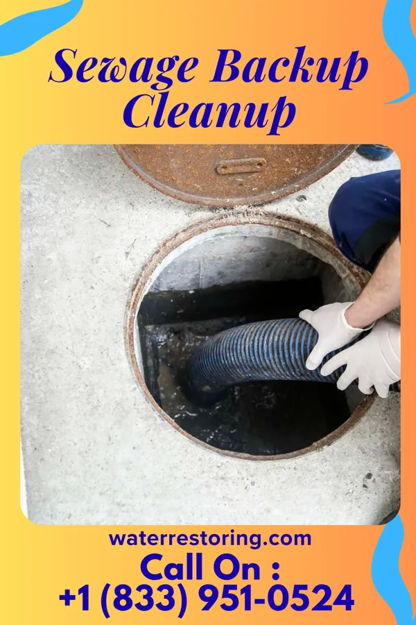 Sewage Backup Cleanup in LaBarque Creek, MO